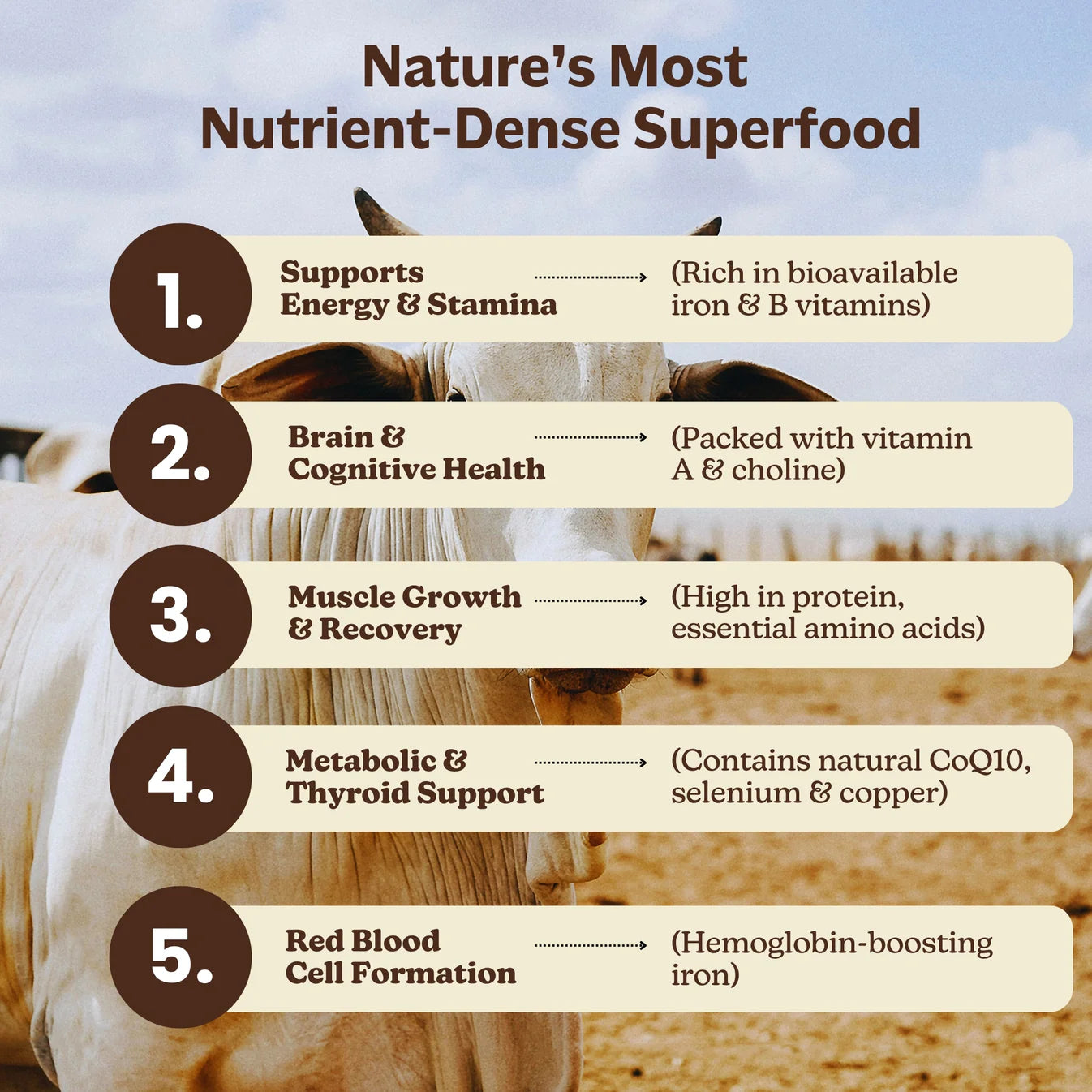 MK Supplements Grass-Fed Beef Liver