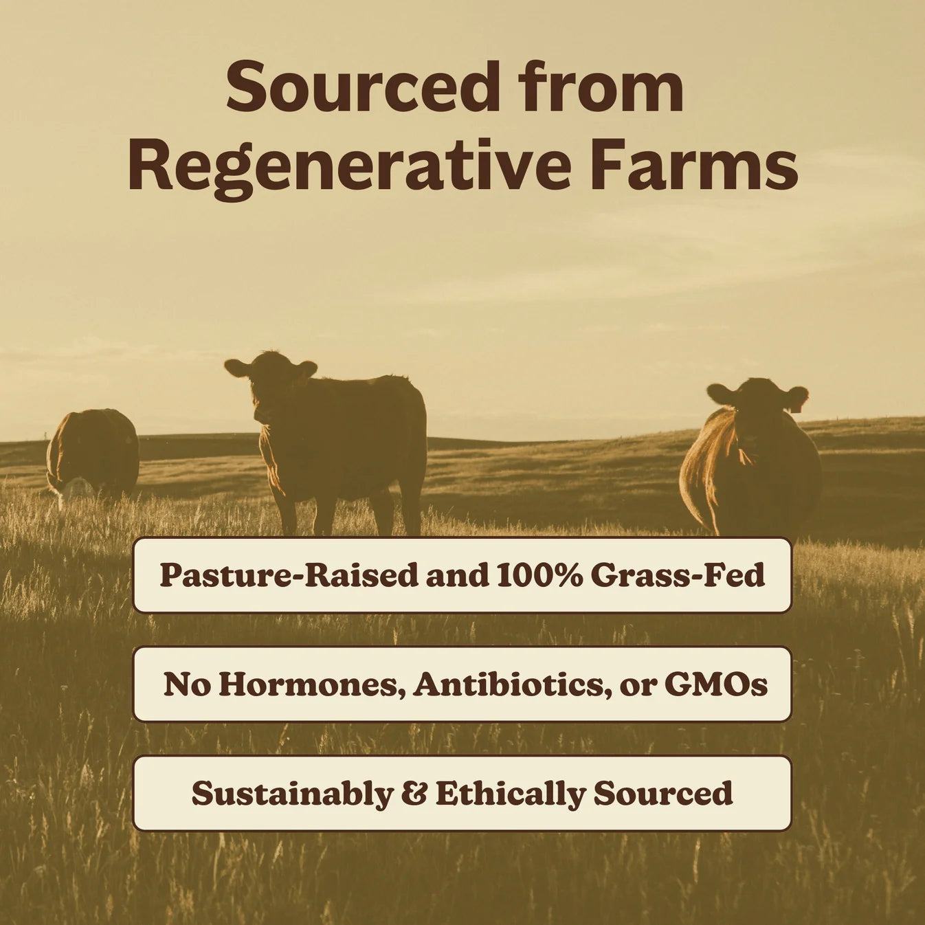 MK Supplements Grass-Fed Beef Liver
