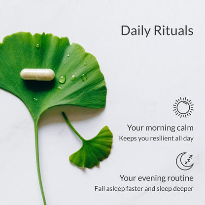 Magnesium Breakthrough V4